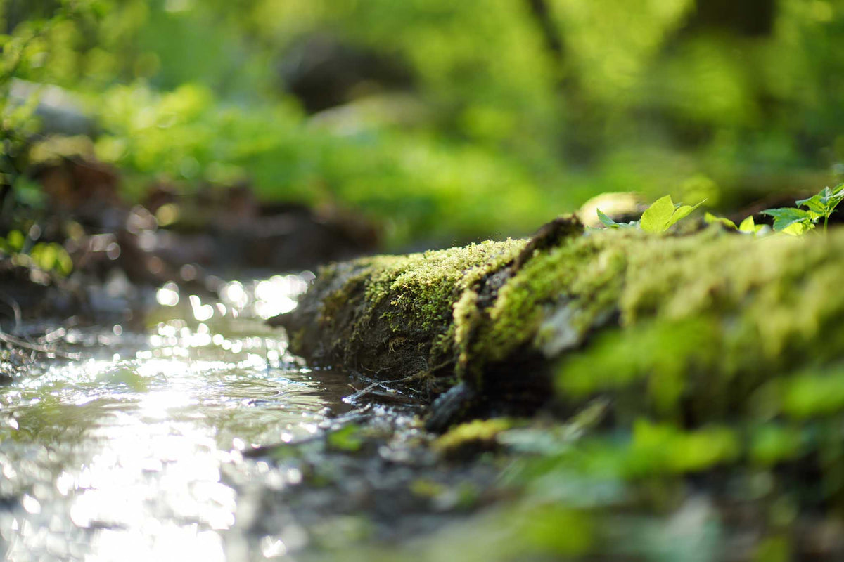 Visste du at bilsåpen din kan inneholde mikroplast?